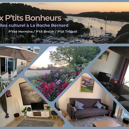 Aux Petits Bonheurs, Gites Culturel A La Roche Bernard Ferel Екстер'єр фото